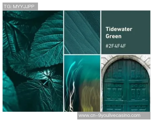 探索bf90vs的独特魅力与功能优势全面解析其在现代科技中的应用潜力